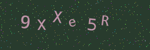 Validation image