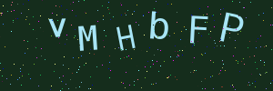 Validation image