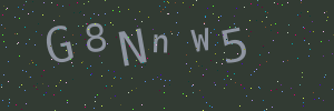 Validation image
