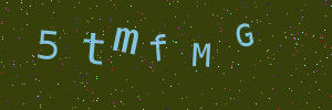 Validation image