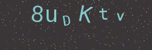 Validation image