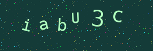 Validation image