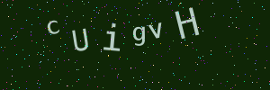 Validation image