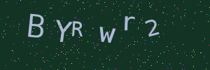 Validation image