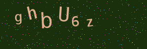 Validation image