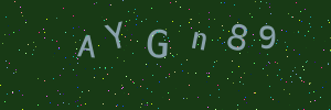 Validation image