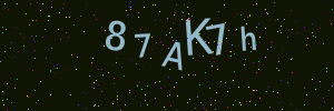Validation image