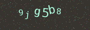 Validation image