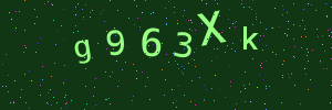 Validation image