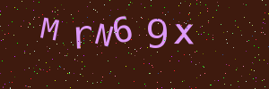 Validation image