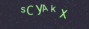Validation image