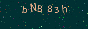 Validation image