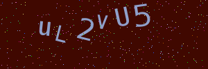 Validation image