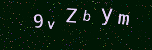 Validation image