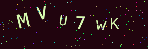 Validation image