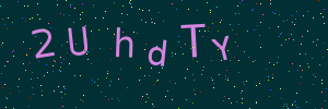 Validation image