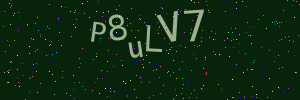 Validation image