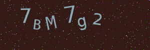 Validation image