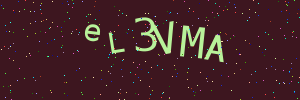Validation image