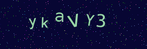 Validation image