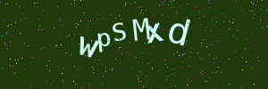 Validation image
