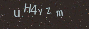 Validation image