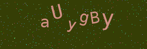 Validation image