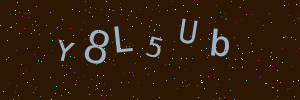 Validation image