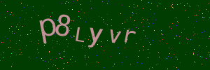 Validation image