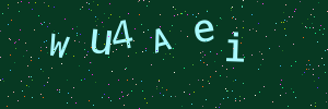Validation image