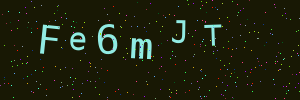 Validation image