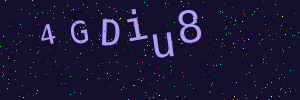 Validation image