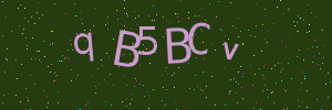 Validation image