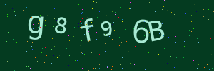 Validation image
