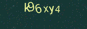 Validation image