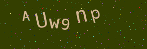 Validation image