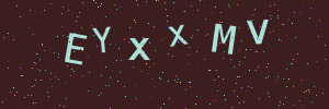 Validation image