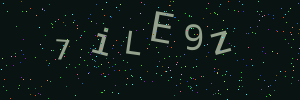 Validation image