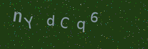 Validation image