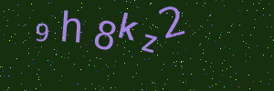 Validation image