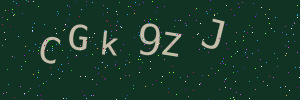 Validation image