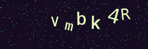 Validation image