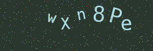 Validation image