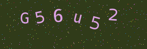 Validation image