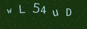 Validation image