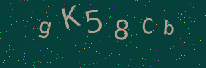 Validation image