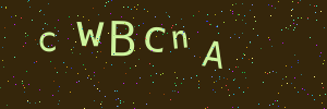 Validation image