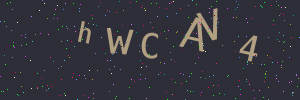 Validation image