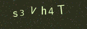 Validation image