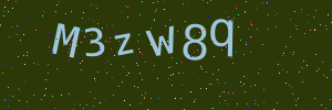 Validation image